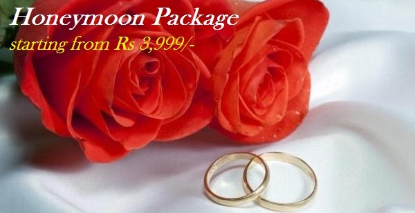 himachal honeymoon tour packages