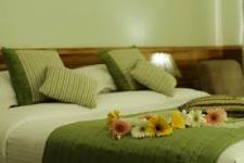 manali honeymoon package